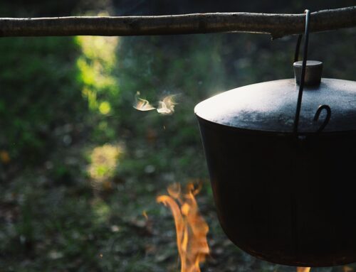 Cooking a Meal Without Electricity: Surviving a Blackout